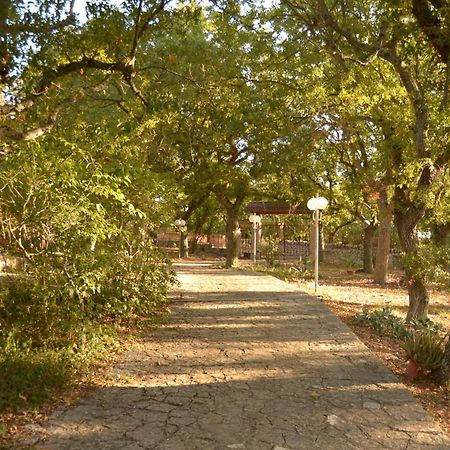 Par Tot Guest House Locorotondo Exterior foto
