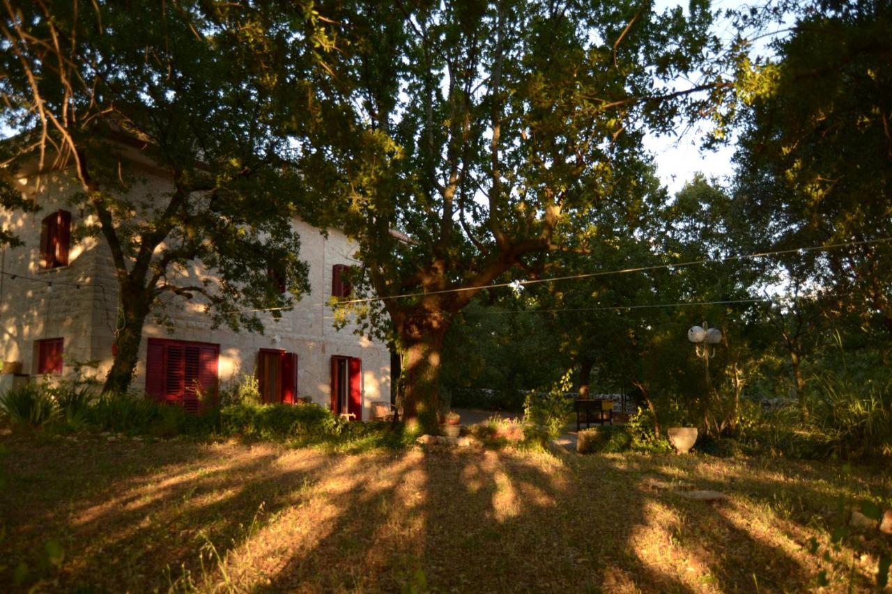 Par Tot Guest House Locorotondo Exterior foto