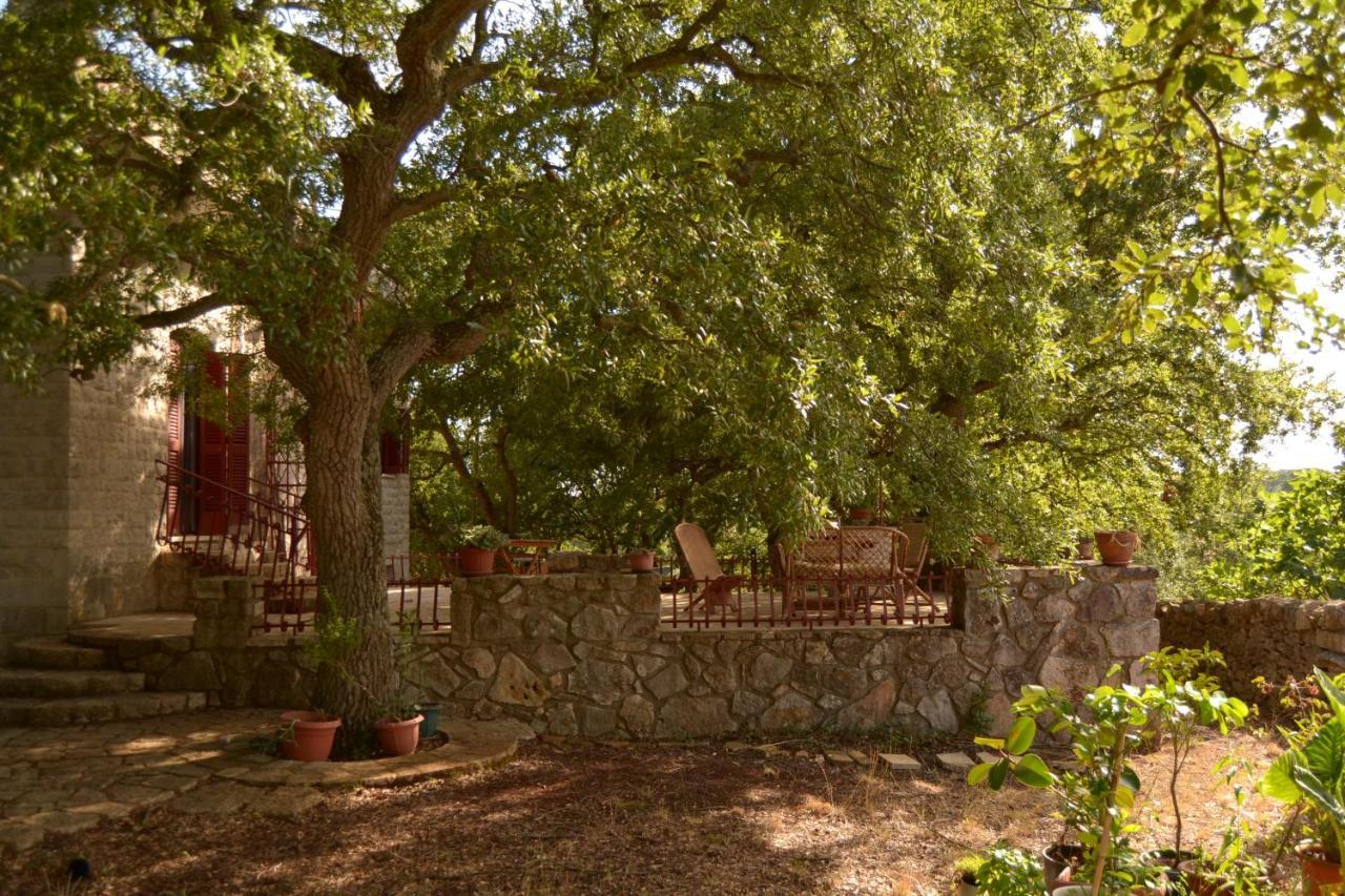 Par Tot Guest House Locorotondo Exterior foto