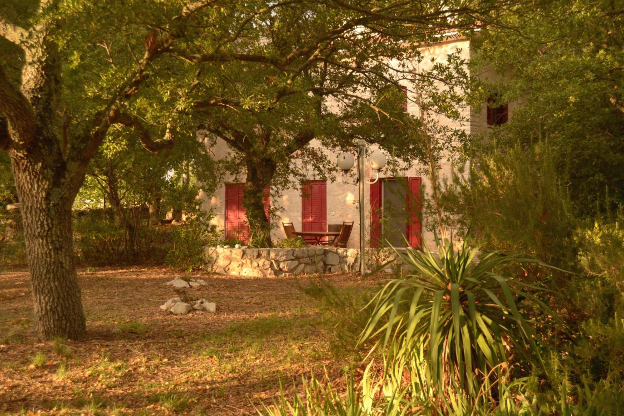 Par Tot Guest House Locorotondo Exterior foto