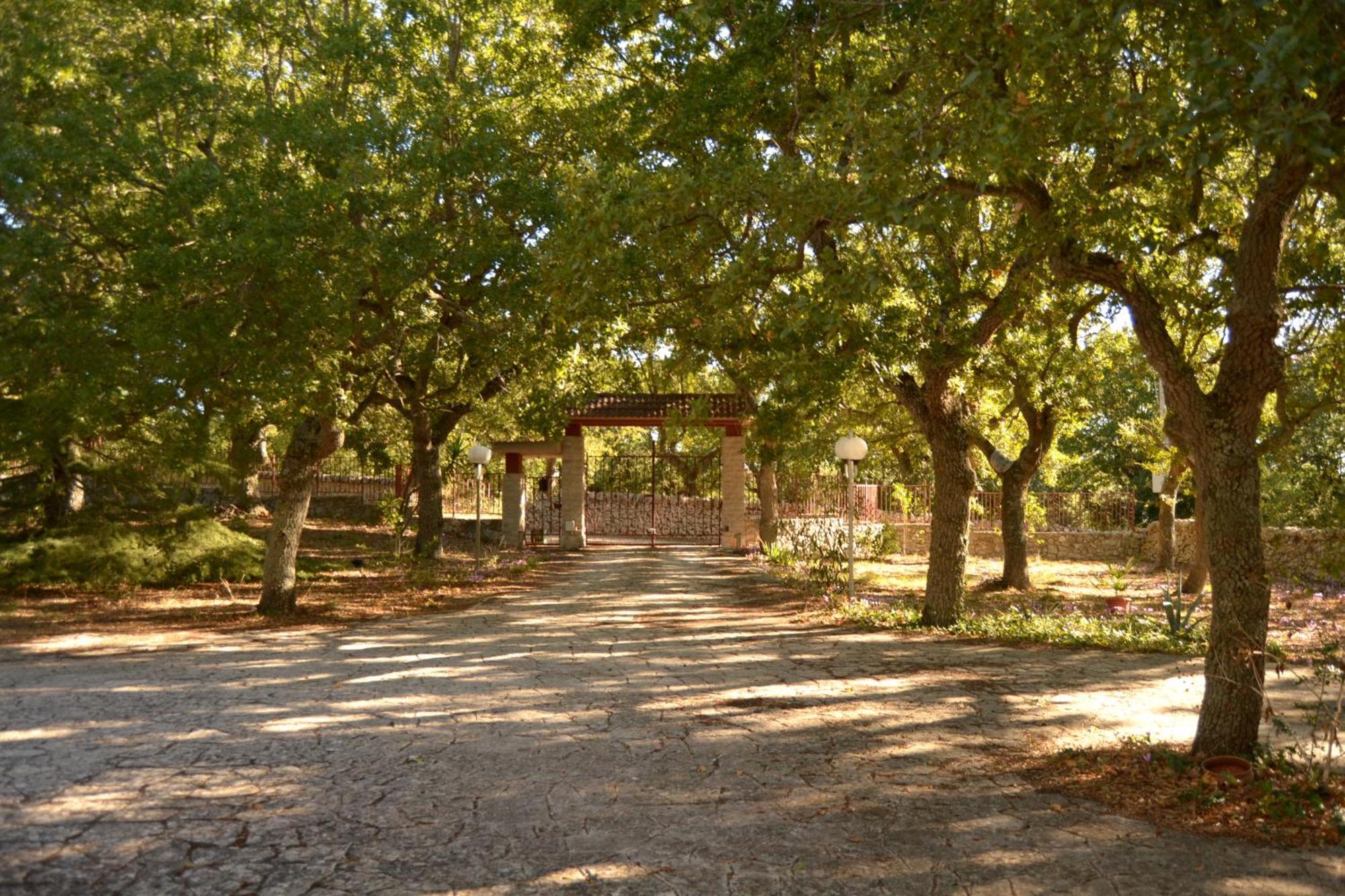 Par Tot Guest House Locorotondo Exterior foto