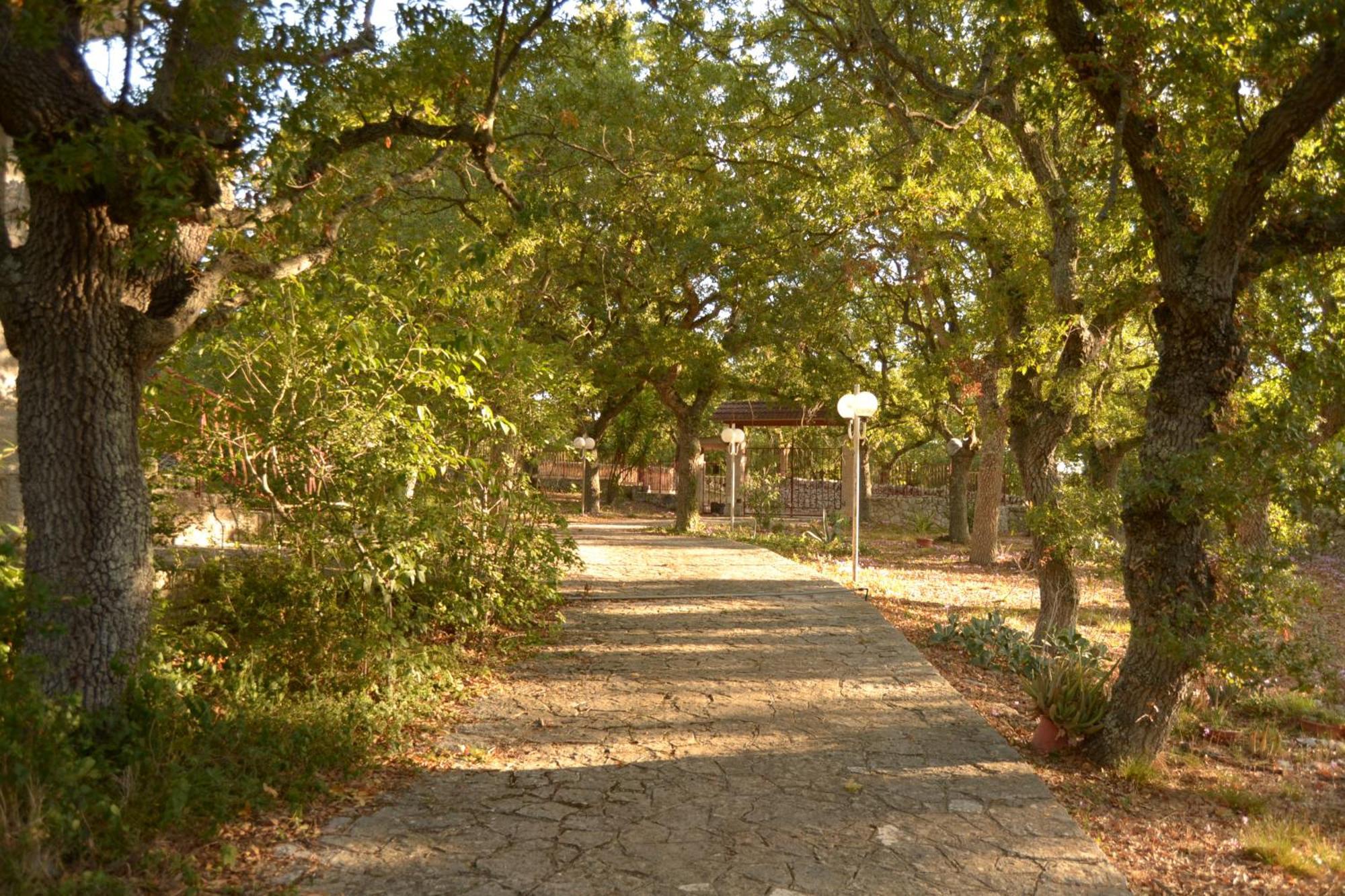 Par Tot Guest House Locorotondo Exterior foto