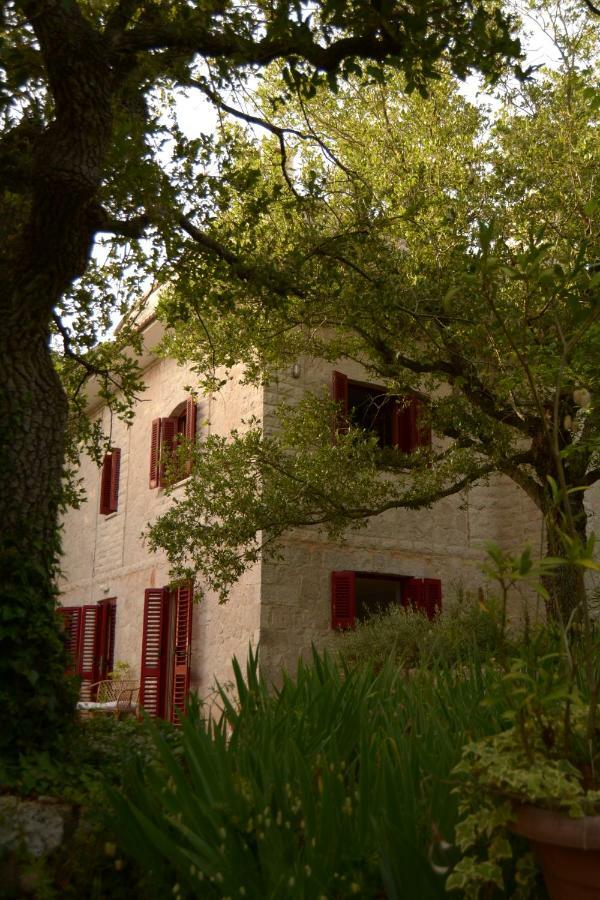 Par Tot Guest House Locorotondo Exterior foto