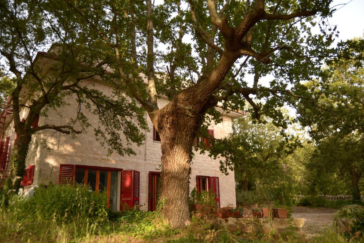 Par Tot Guest House Locorotondo Exterior foto